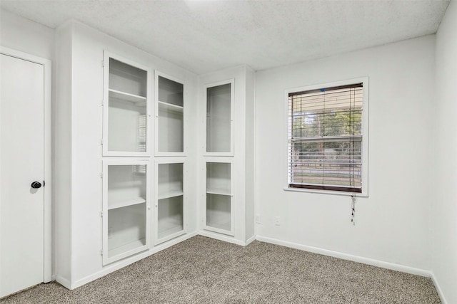 unfurnished room with carpet and a textured ceiling