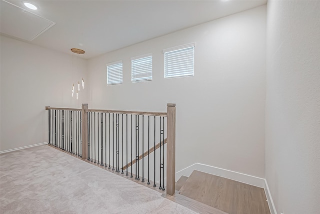 corridor featuring carpet floors