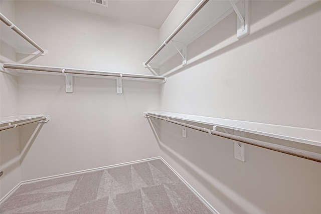 spacious closet featuring carpet