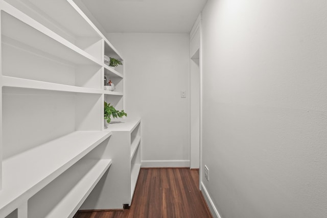 walk in closet with dark hardwood / wood-style flooring