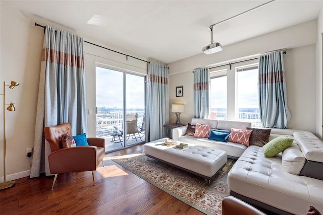 living room with wood-type flooring and a healthy amount of sunlight