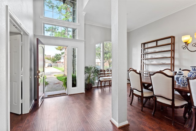 foyer entrance with dark hardwood / wood-style floors, crown molding, and a high ceiling