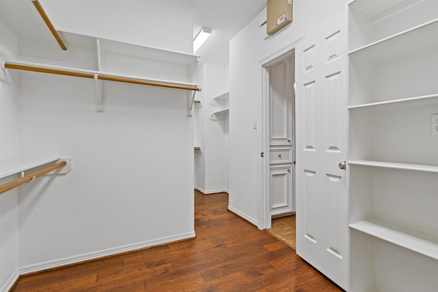 walk in closet featuring dark hardwood / wood-style flooring