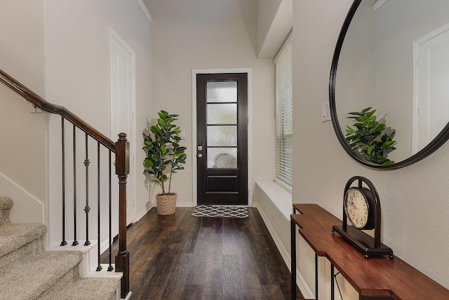 foyer entrance with dark wood-type flooring