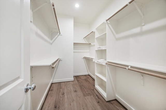 walk in closet with wood-type flooring