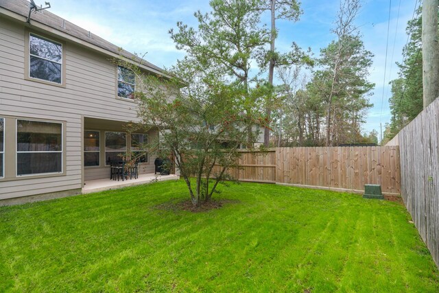 view of yard featuring a patio