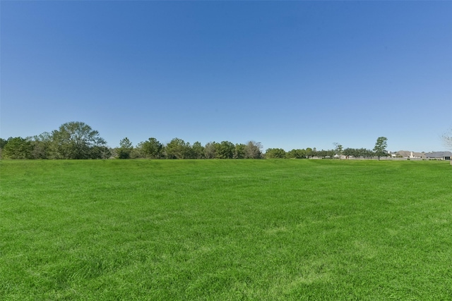 view of landscape with a rural view