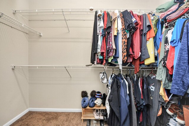 walk in closet featuring carpet floors