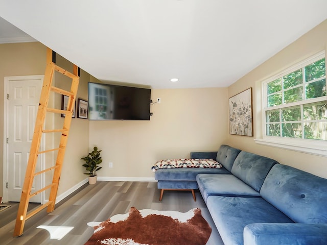 living room featuring hardwood / wood-style flooring and crown molding