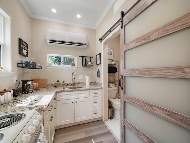 bathroom featuring vanity, toilet, ornamental molding, a wall mounted AC, and wood-type flooring