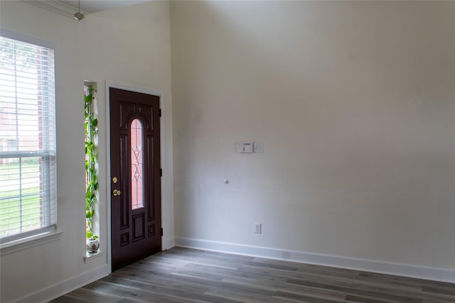 foyer entrance with wood-type flooring and plenty of natural light