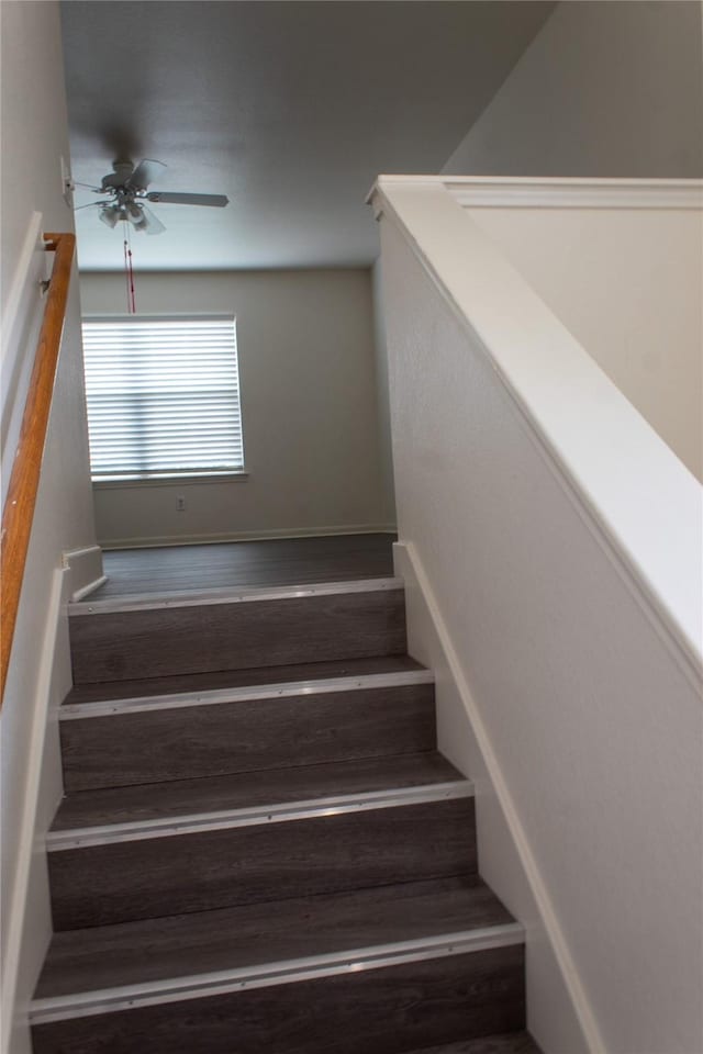 stairway featuring ceiling fan and hardwood / wood-style flooring