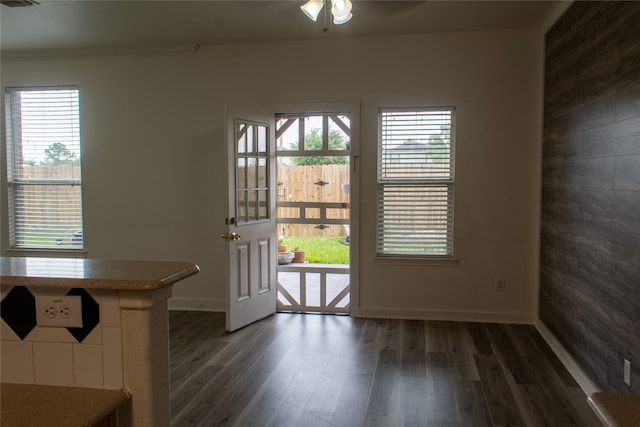 doorway to outside with dark hardwood / wood-style floors, ceiling fan, and ornamental molding