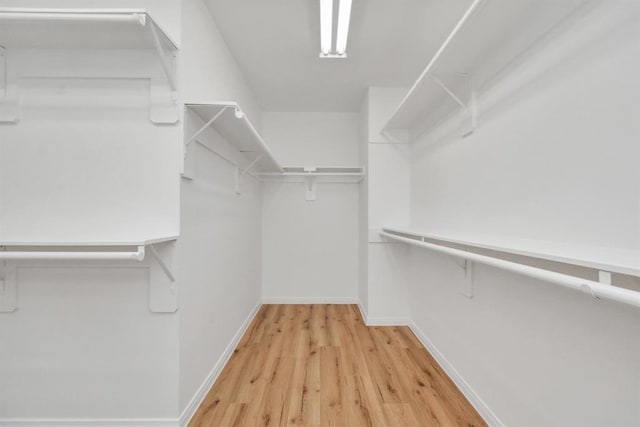 spacious closet with light hardwood / wood-style flooring