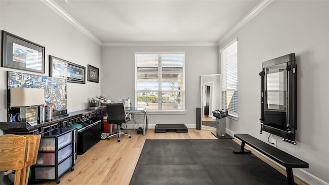 home office featuring hardwood / wood-style flooring and ornamental molding