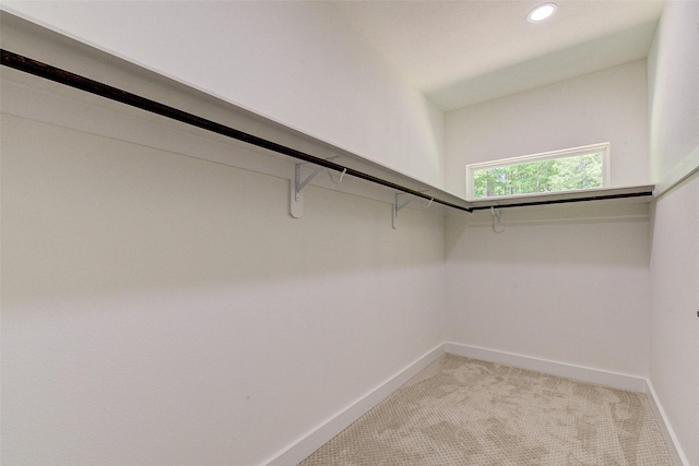 walk in closet featuring light colored carpet