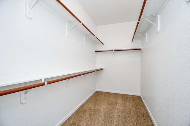 spacious closet with carpet floors