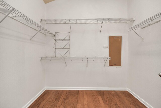 spacious closet with wood-type flooring