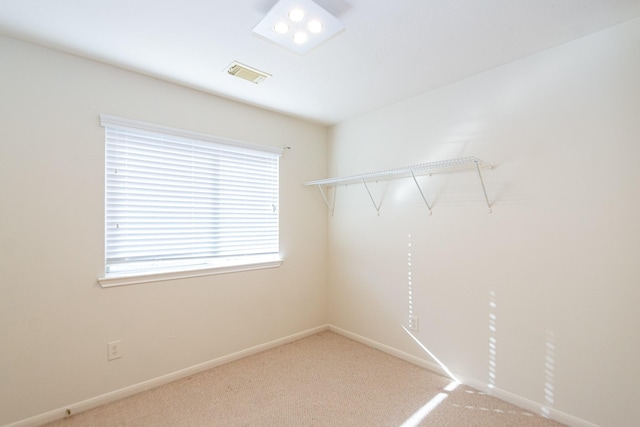 walk in closet with carpet floors