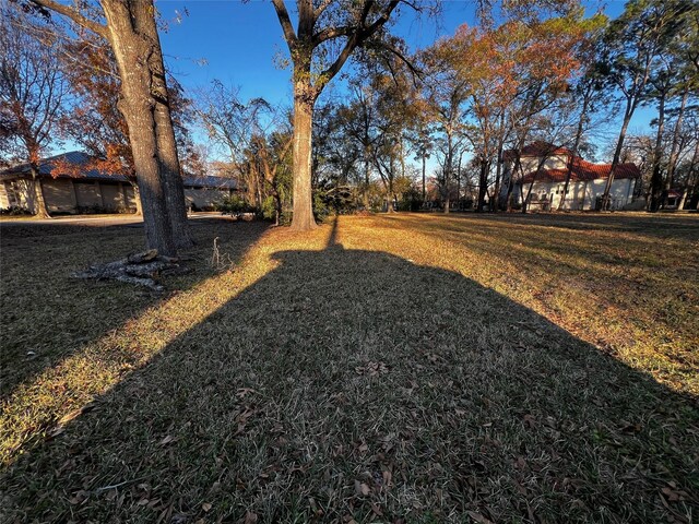 14117 Bluebird Ln, Houston TX, 77079 land for sale