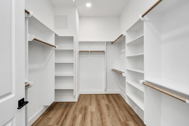 spacious closet featuring light wood-type flooring