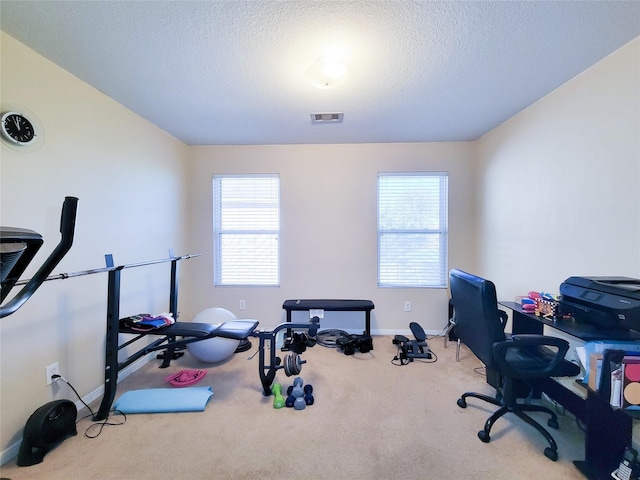 workout room featuring a textured ceiling, a wealth of natural light, and light carpet