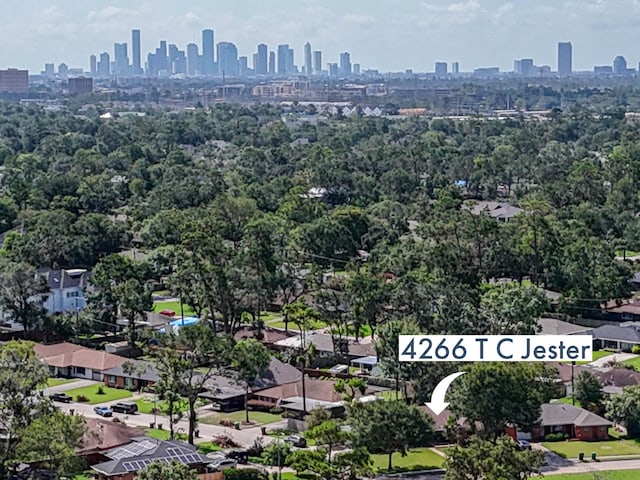 bird's eye view