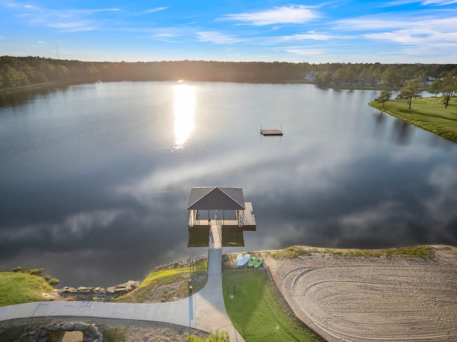 property view of water with a dock