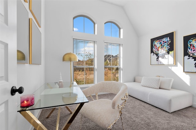 interior space with high vaulted ceiling