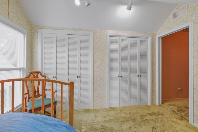 carpeted bedroom with two closets and vaulted ceiling