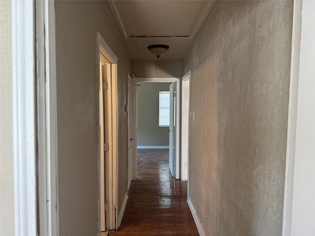 hallway with dark hardwood / wood-style flooring