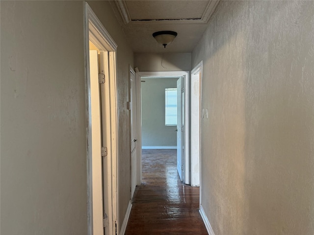 hall with dark hardwood / wood-style flooring