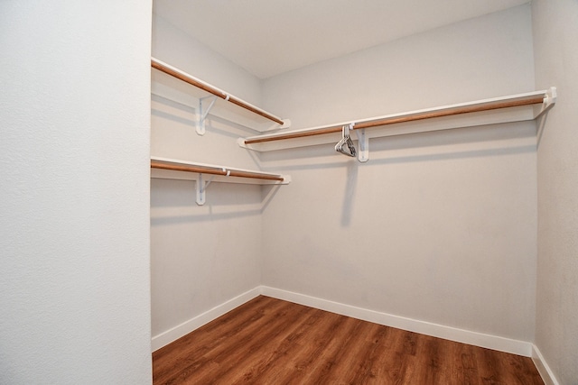 spacious closet with wood finished floors