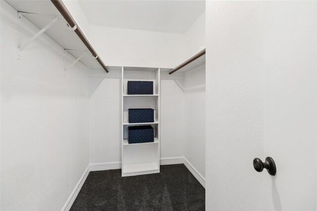 walk in closet with dark colored carpet