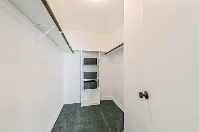 walk in closet with dark carpet