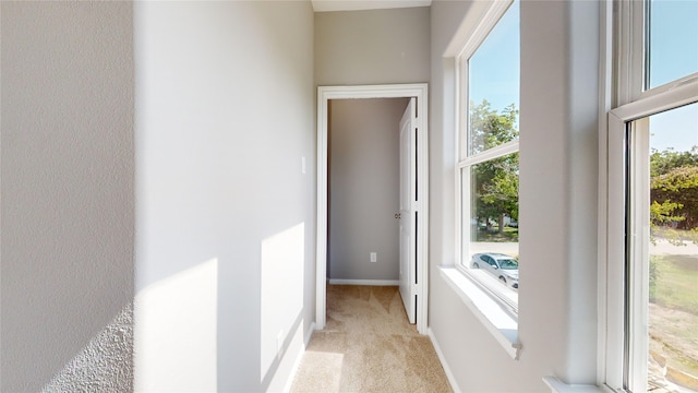 interior space with light carpet and a wealth of natural light