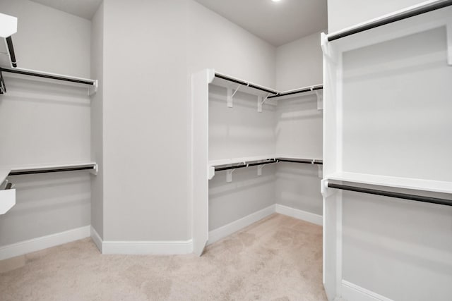 walk in closet featuring light colored carpet