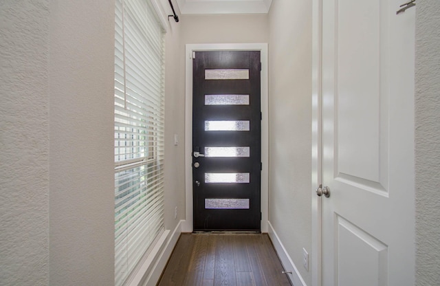 doorway featuring dark wood-type flooring