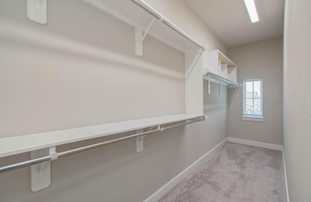 walk in closet with light carpet