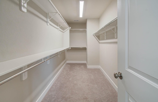 walk in closet with light carpet