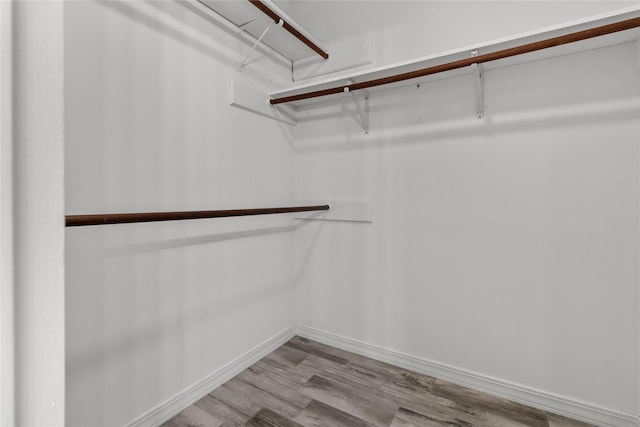 spacious closet with light wood-type flooring