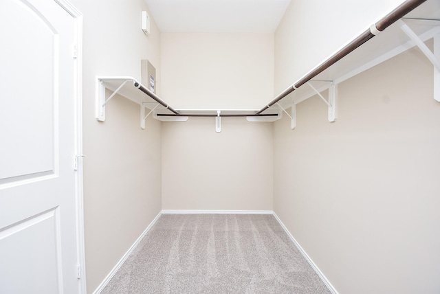 spacious closet featuring carpet flooring