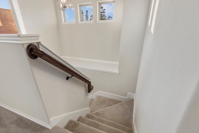 stairway featuring carpet flooring and a chandelier