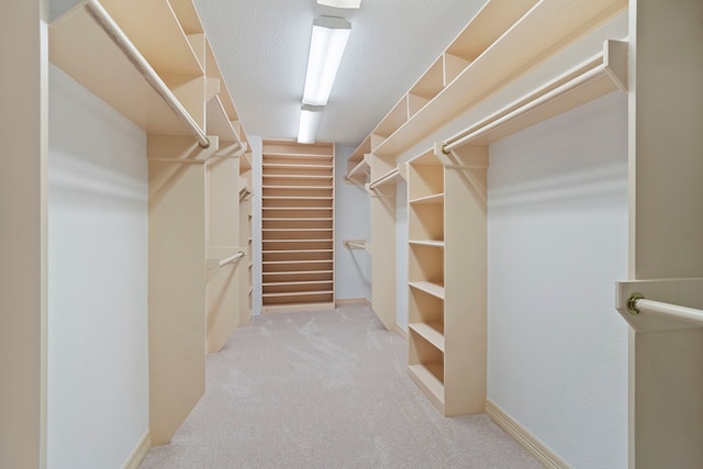 spacious closet with light colored carpet