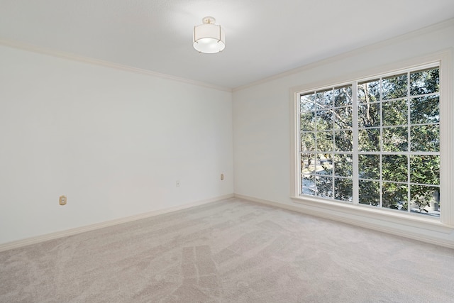 spare room featuring carpet and crown molding