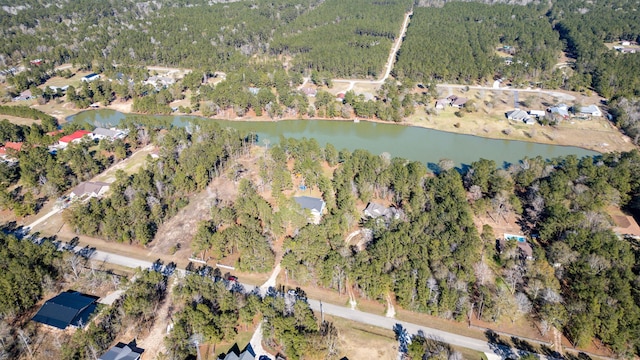 bird's eye view featuring a water view and a wooded view