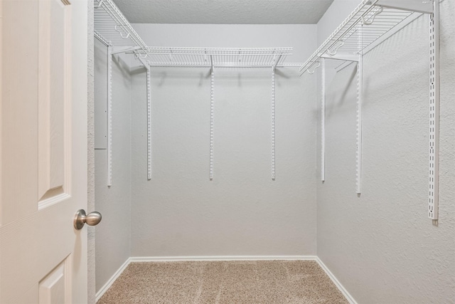 spacious closet with carpet