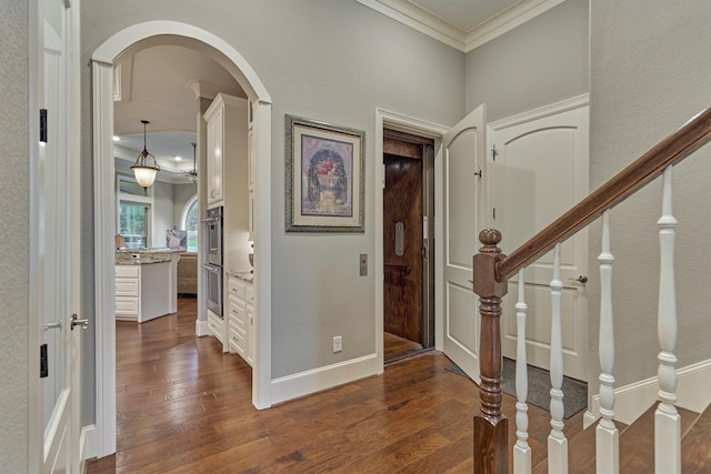 foyer featuring dark hardwood / wood-style floors and ornamental molding