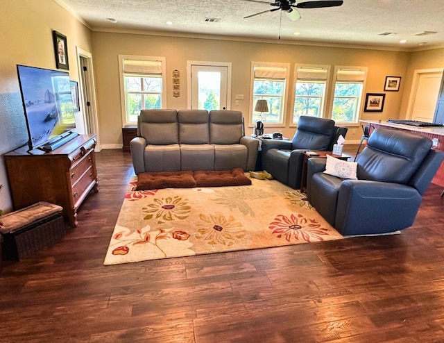 living room with plenty of natural light, dark hardwood / wood-style flooring, and a textured ceiling