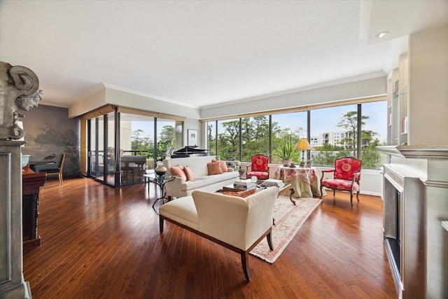 living room featuring dark hardwood / wood-style floors and crown molding